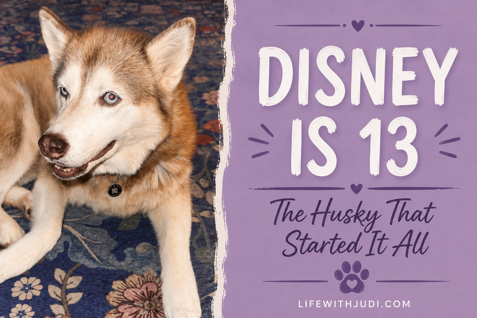 Disney Is 13: The Husky That Started It All